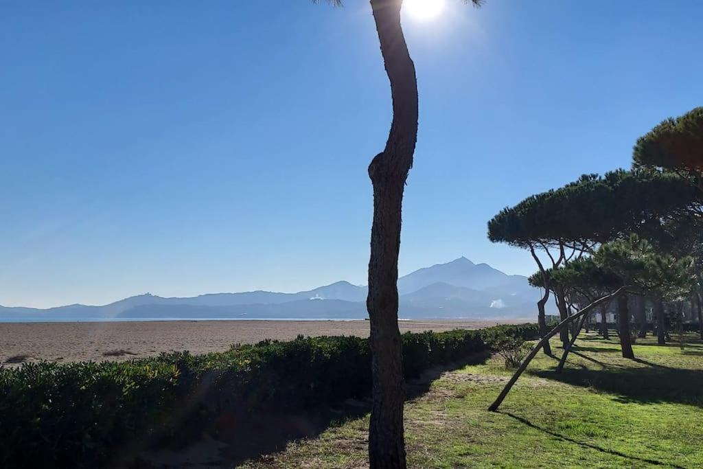 Appartement Renove Avec Balcon A 100 M De La Plage Argeles-sur-Mer Luaran gambar
